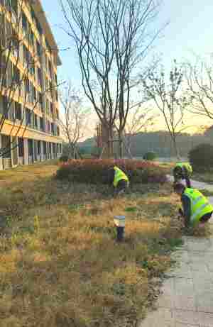 工廠綠化養(yǎng)護